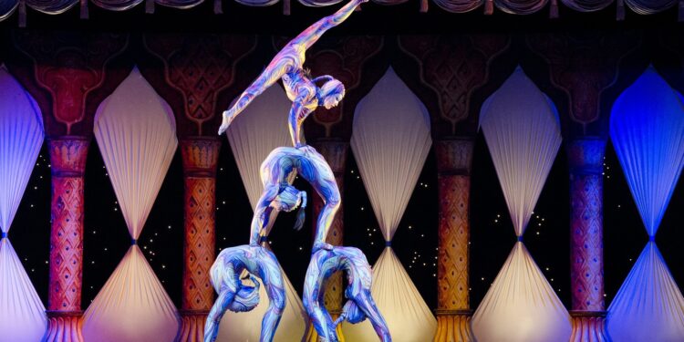 Trapecists, Dancers, & Gymnasts Injury Therapy