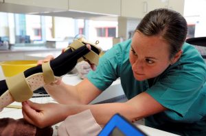 CardioFlex Therapy therapist works on patient